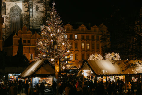 Do Prahy přichází léto – s tím i výzva najít vánoční strom pro Prahu