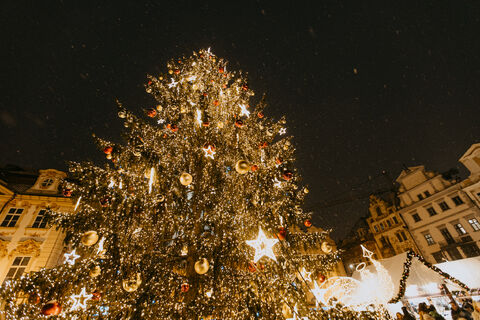 Der Sommer kommt nach Prag – und damit auch die Herausforderung, einen Weihnachtsbaum für Prag zu finden